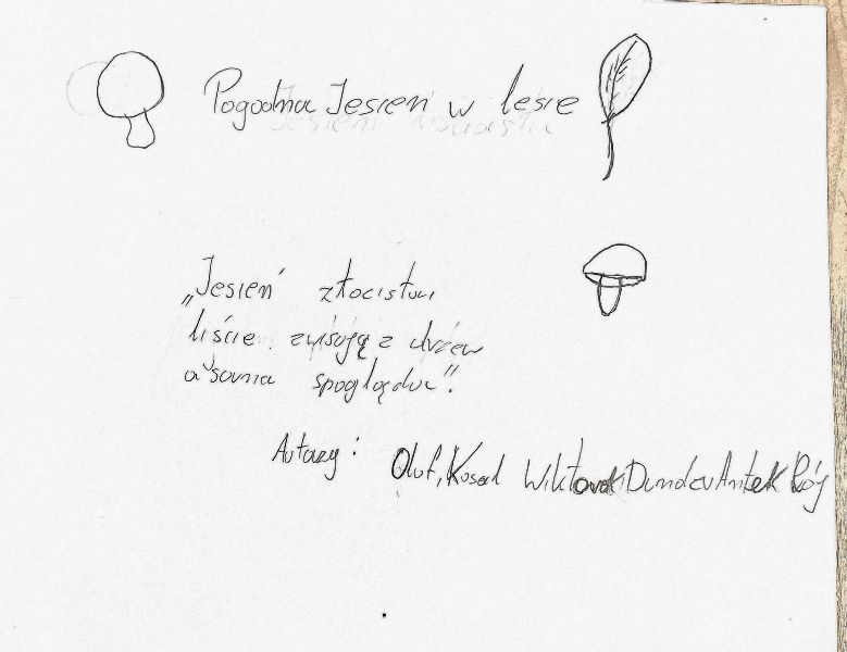 HAIKU  -  poezja chwili  zajęcia literacko – warsztatowe w bibliotece 