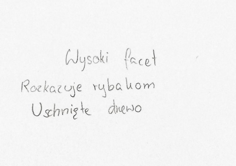 HAIKU  -  poezja chwili  zajęcia literacko – warsztatowe w bibliotece 