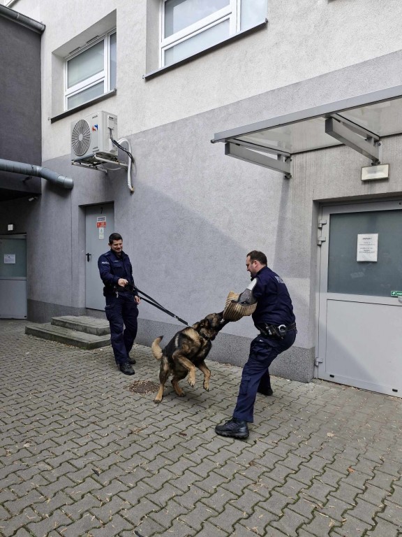 Wizyta w Komendzie Miejskiej Policji w Rybniku