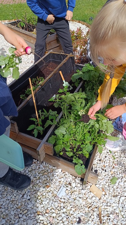 Ogólnopolski Projekt Edukacyjny “Klasa w terenie”
