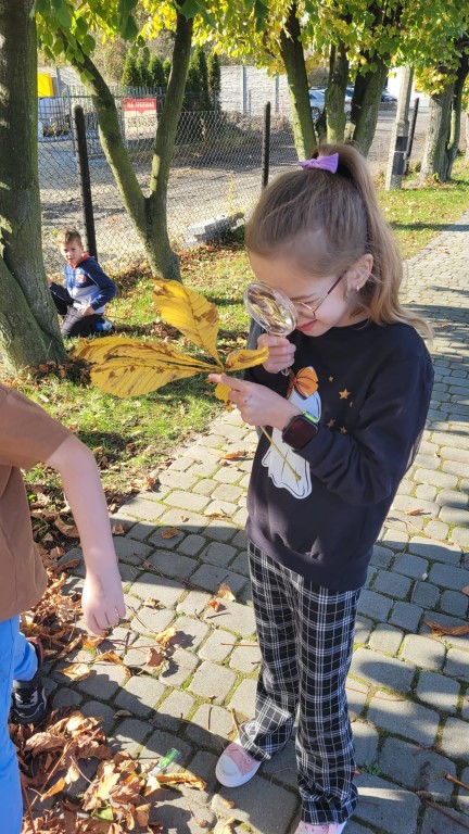 Ogólnopolski Projekt Edukacyjny “Klasa w terenie”