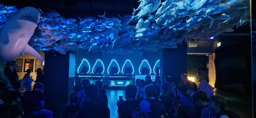 Wycieczka klas 5 do Wrocławia 