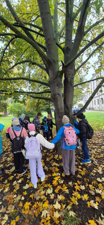 Szkolny Dzień Drzewa