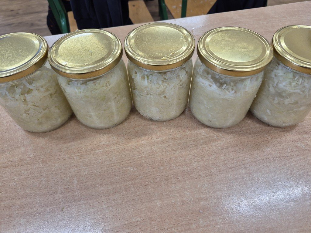 Kiszenie kapusty w klasie 3a