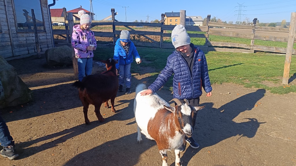 W zagrodzie „Zakątek zwierzątek” klasa 2a i 2b