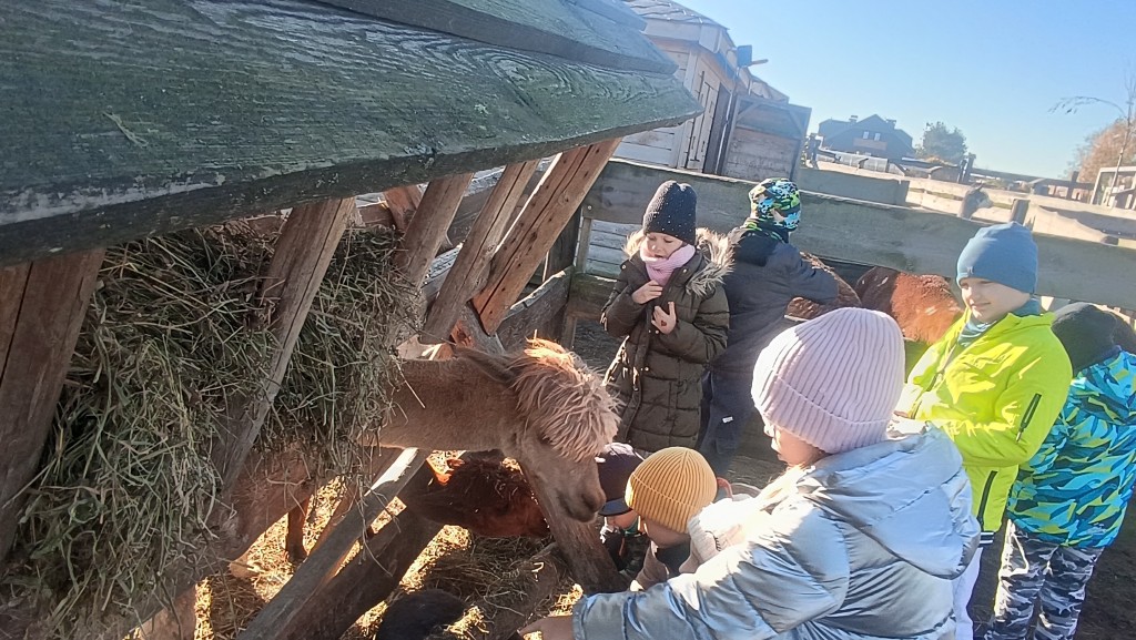 W zagrodzie „Zakątek zwierzątek” klasa 2a i 2b