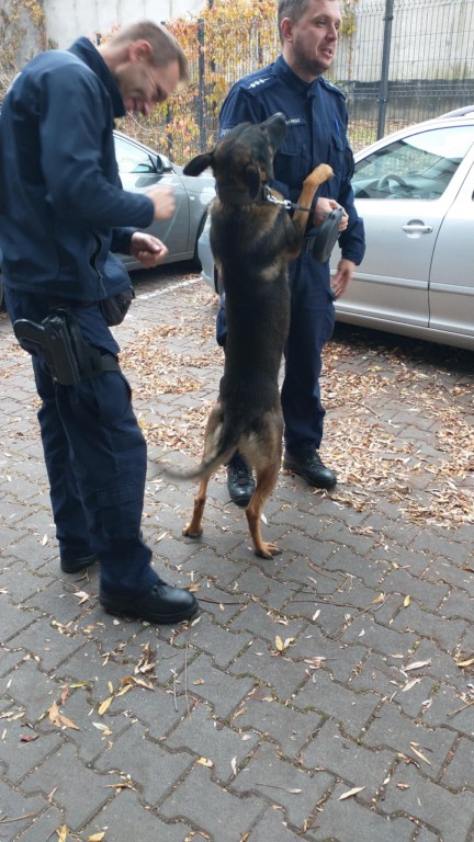  WYCIECZKA DO KOMEDY MIEJSKIEJ POLICJI W RYBNIKU - GRUPA 'STARSZAKÓW'