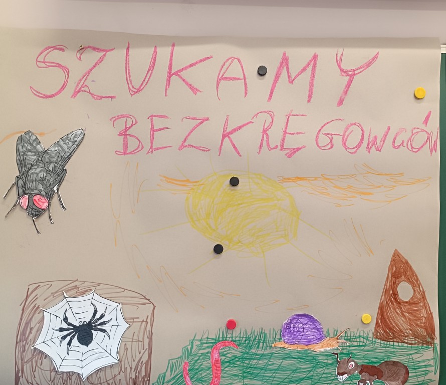Klasa 2b tropi bezkręgowce