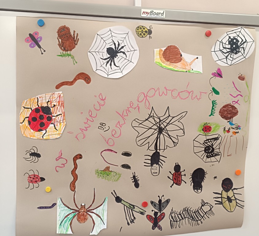 Klasa 2b tropi bezkręgowce