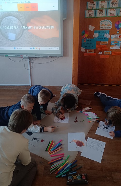 Klasa 2b tropi bezkręgowce