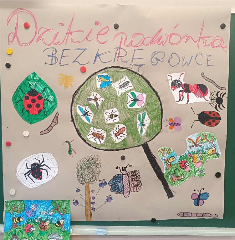 Klasa 2b tropi bezkręgowce