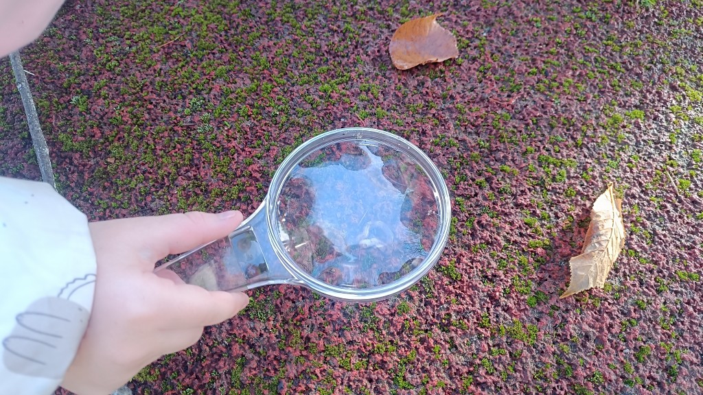 Klasa 2b tropi bezkręgowce