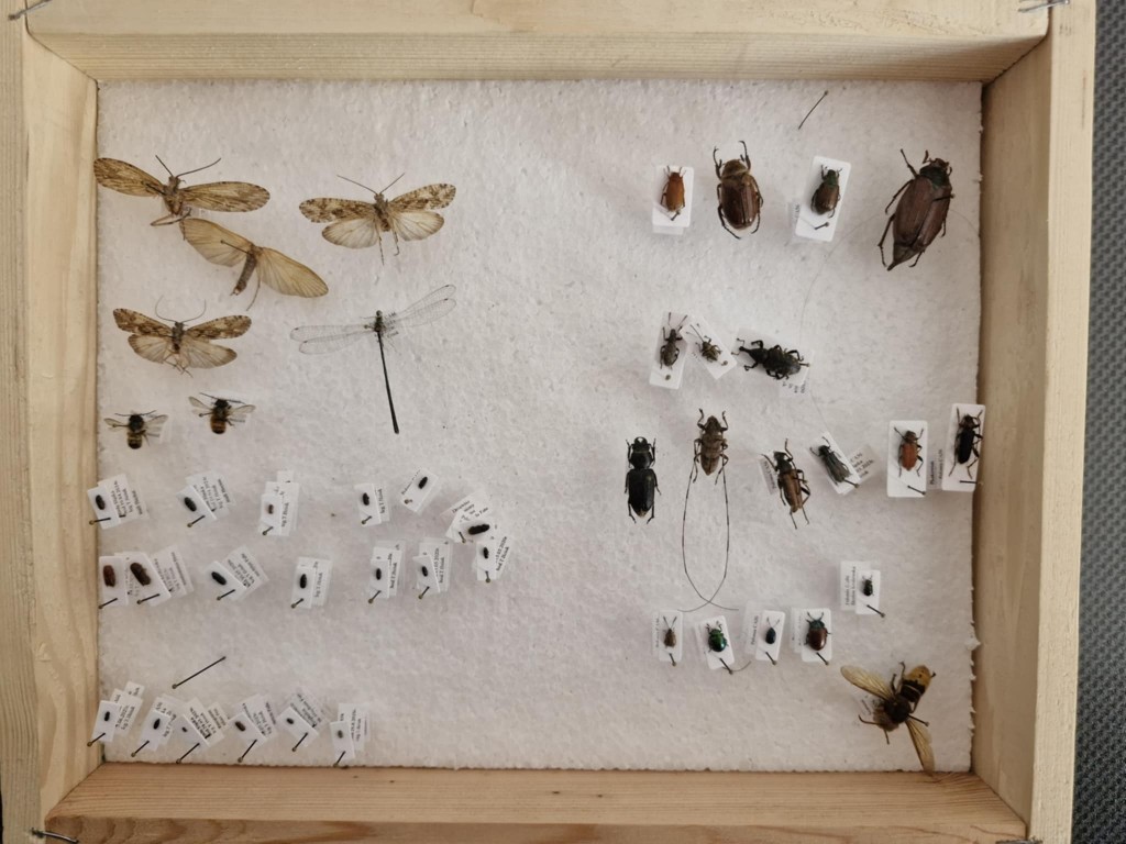 Spotkanie klas 8 z panią Leśnik 