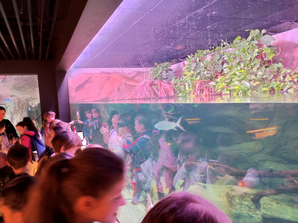 Wycieczce do Egzotarium w Sosnowcu