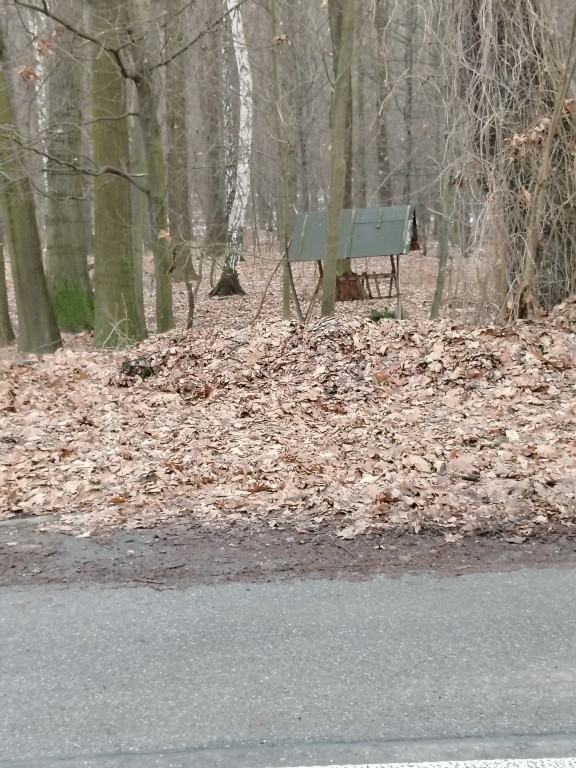 SPOTKANIE Z PANIĄ LEŚNIK 