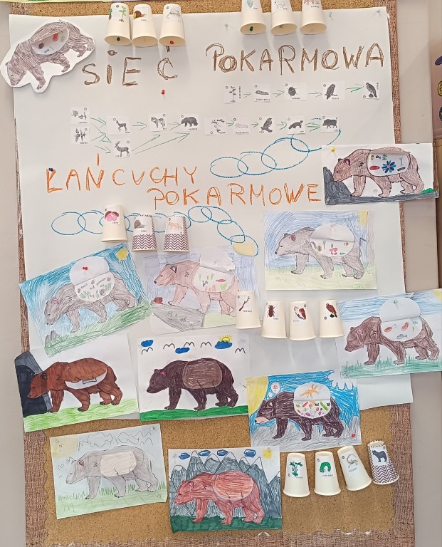 Klasa 2b poznaje sieć pokarmową zwierząt