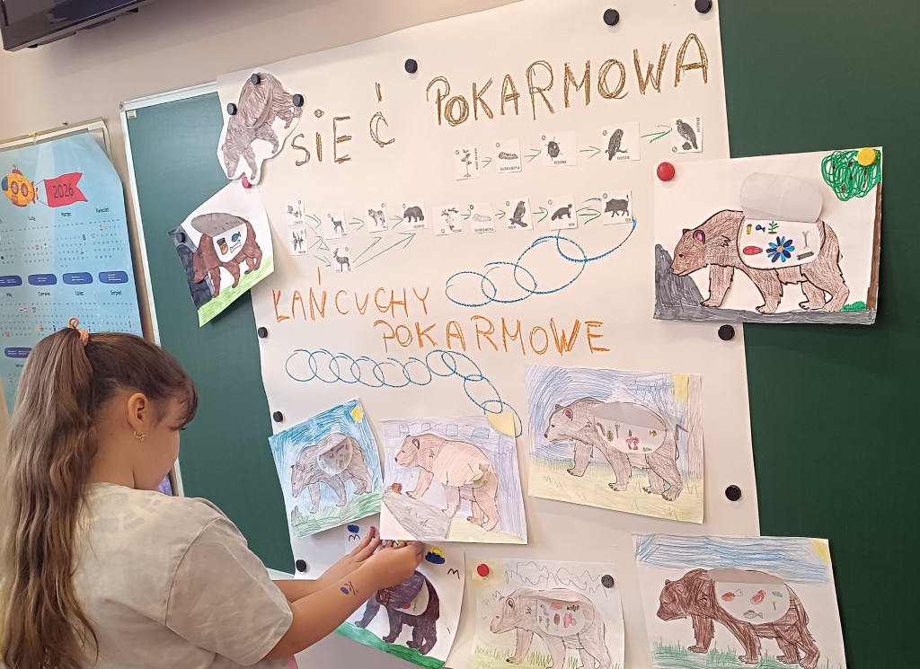 Klasa 2b poznaje sieć pokarmową zwierząt