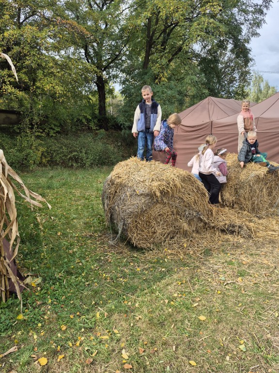 Wycieczka klas pierwszych na farmę dyniową
