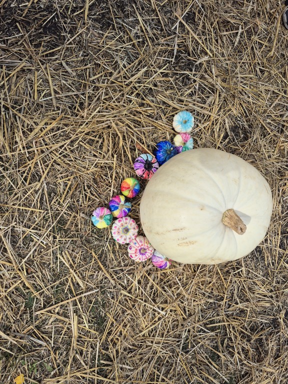 Wycieczka klas pierwszych na farmę dyniową