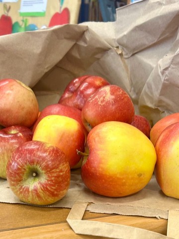 Dzień Jabłka i Głośnego Czytania